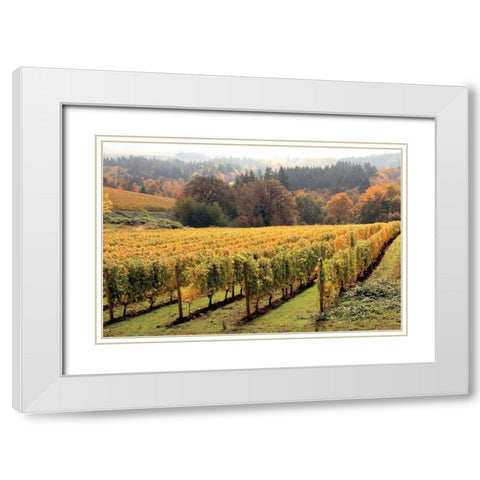 Bella Vida II White Modern Wood Framed Art Print with Double Matting by Love, Maureen