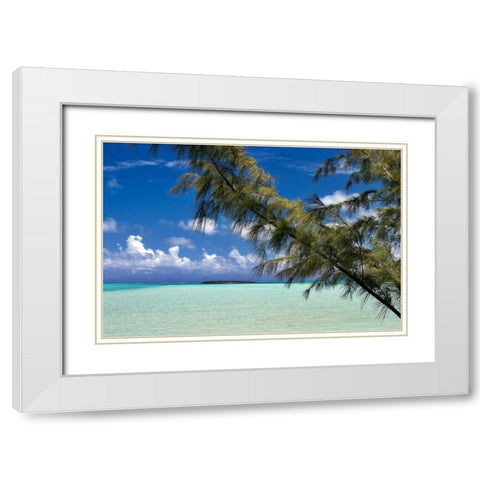 Sandbar Pelican Cay White Modern Wood Framed Art Print with Double Matting by Malvin, Larry