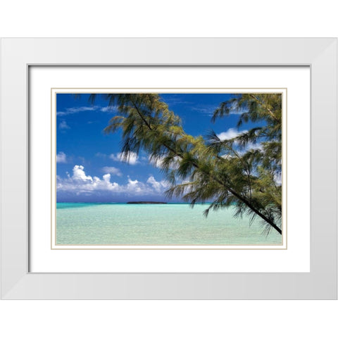 Sandbar Pelican Cay White Modern Wood Framed Art Print with Double Matting by Malvin, Larry