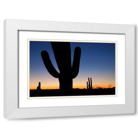 Clear Saguaro Sunset I White Modern Wood Framed Art Print with Double Matting by Malvin, Larry
