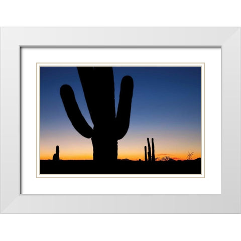 Clear Saguaro Sunset I White Modern Wood Framed Art Print with Double Matting by Malvin, Larry