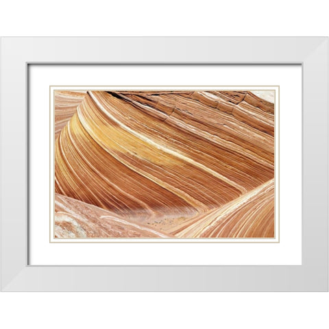 Wave Closeup White Modern Wood Framed Art Print with Double Matting by Malvin, Larry