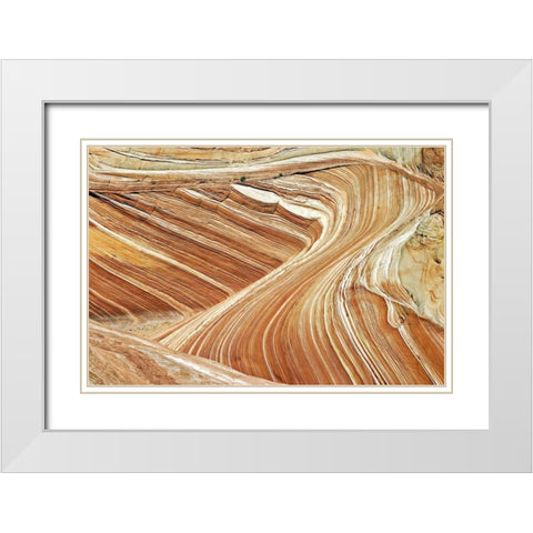 Wave Swirls White Modern Wood Framed Art Print with Double Matting by Malvin, Larry