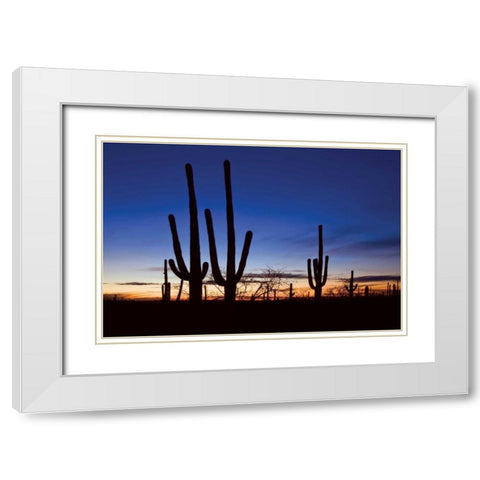 Classic Saguaro Sunset II White Modern Wood Framed Art Print with Double Matting by Malvin, Larry