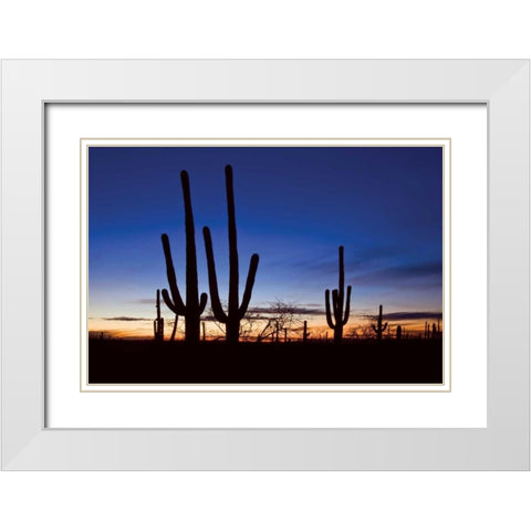 Classic Saguaro Sunset II White Modern Wood Framed Art Print with Double Matting by Malvin, Larry