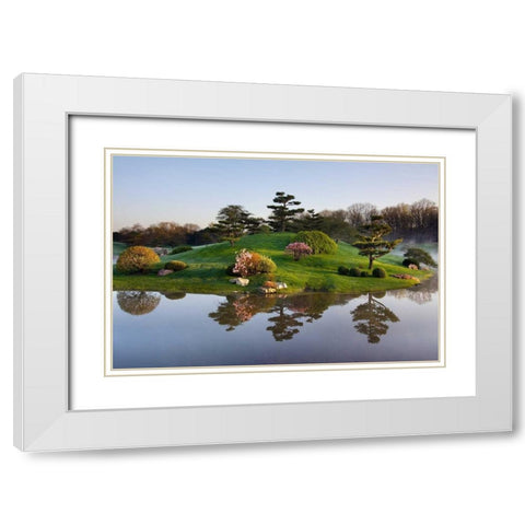 Botanic Dawn I White Modern Wood Framed Art Print with Double Matting by Malvin, Larry