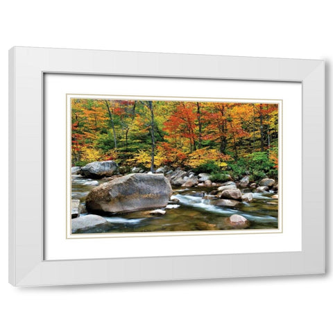 Swift River Pass Scenic White Modern Wood Framed Art Print with Double Matting by Malvin, Larry