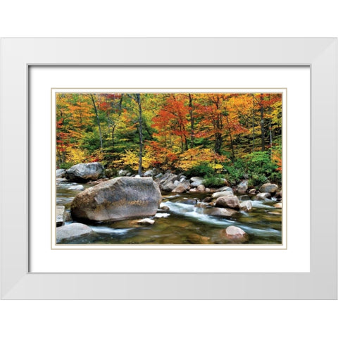 Swift River Pass Scenic White Modern Wood Framed Art Print with Double Matting by Malvin, Larry