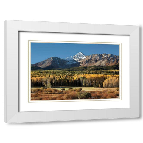 Wilson Peak Yellow Aspens White Modern Wood Framed Art Print with Double Matting by Malvin, Larry