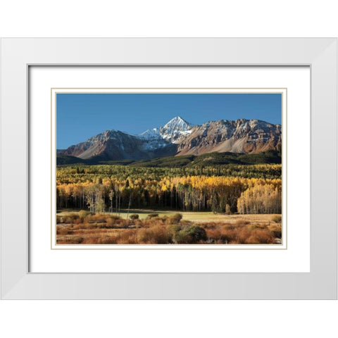 Wilson Peak Yellow Aspens White Modern Wood Framed Art Print with Double Matting by Malvin, Larry