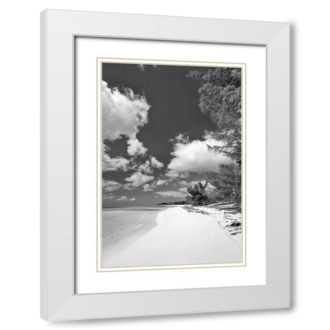 Deep Creek Tree BW White Modern Wood Framed Art Print with Double Matting by Malvin, Larry