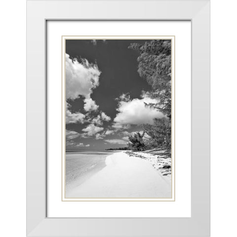 Deep Creek Tree BW White Modern Wood Framed Art Print with Double Matting by Malvin, Larry