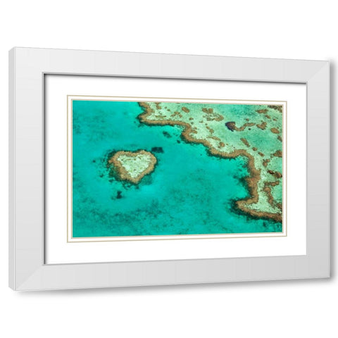 Great Barrier Reef II White Modern Wood Framed Art Print with Double Matting by Malvin, Larry