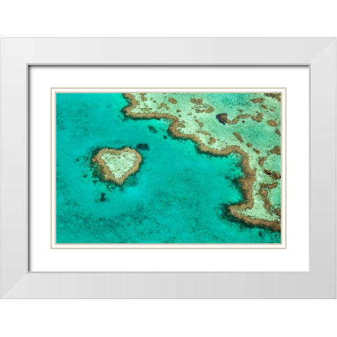 Great Barrier Reef II White Modern Wood Framed Art Print with Double Matting by Malvin, Larry