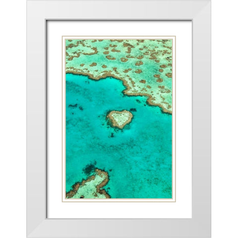 Heart Reef I White Modern Wood Framed Art Print with Double Matting by Malvin, Larry