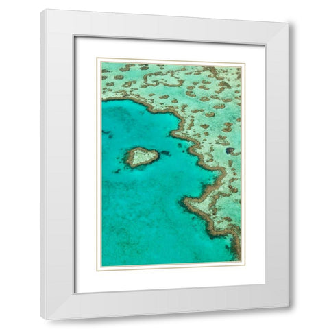 Heart Reef II White Modern Wood Framed Art Print with Double Matting by Malvin, Larry