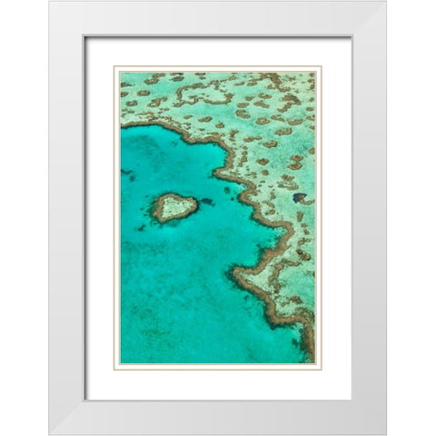 Heart Reef II White Modern Wood Framed Art Print with Double Matting by Malvin, Larry