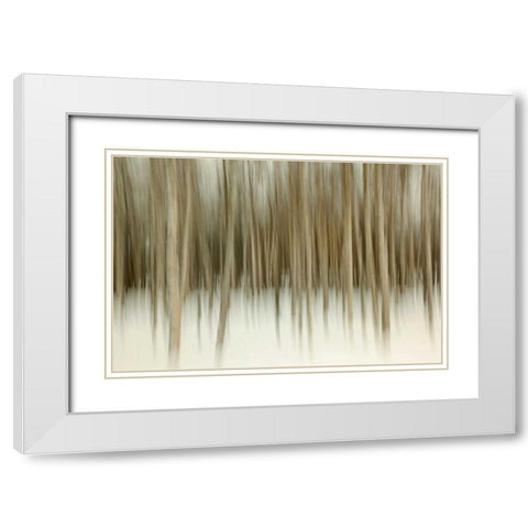 Birch Blur II White Modern Wood Framed Art Print with Double Matting by Malvin, Larry