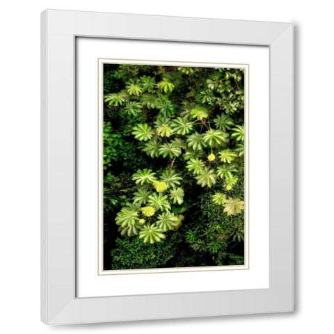 Cloud Forest Foliage II White Modern Wood Framed Art Print with Double Matting by Malvin, Larry