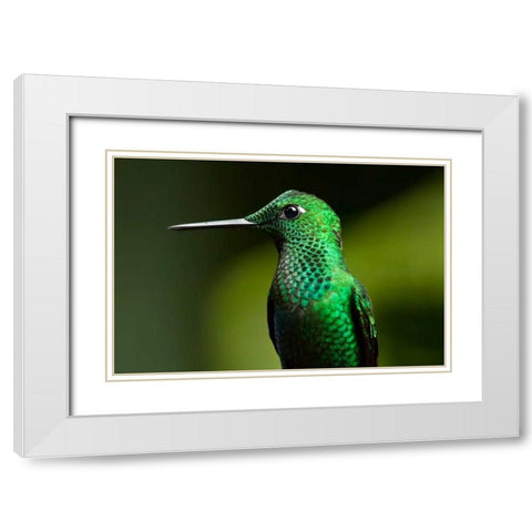 Steely Vented White Modern Wood Framed Art Print with Double Matting by Malvin, Larry