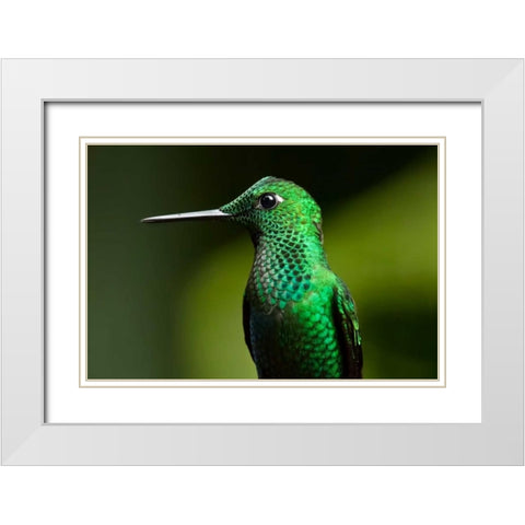 Steely Vented White Modern Wood Framed Art Print with Double Matting by Malvin, Larry