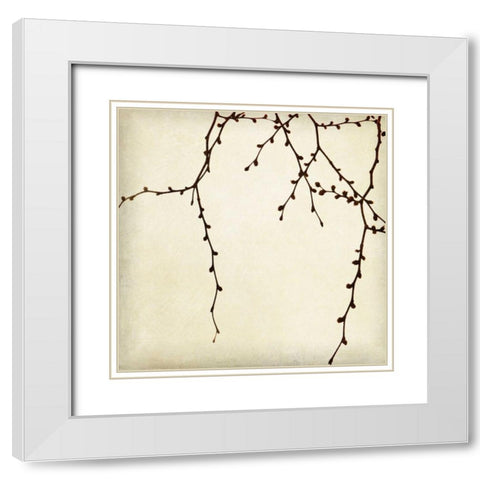 Branches II White Modern Wood Framed Art Print with Double Matting by Melious, Amy