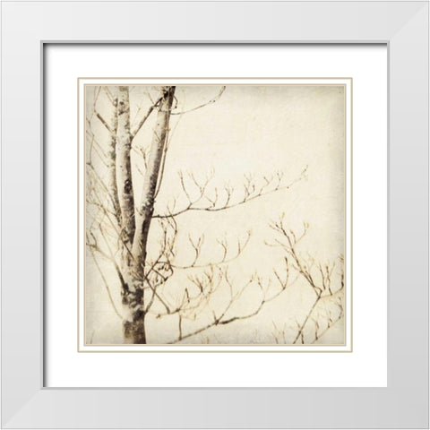 Winter Trees I White Modern Wood Framed Art Print with Double Matting by Melious, Amy