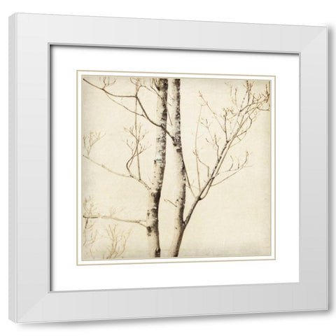 Winter Trees II White Modern Wood Framed Art Print with Double Matting by Melious, Amy