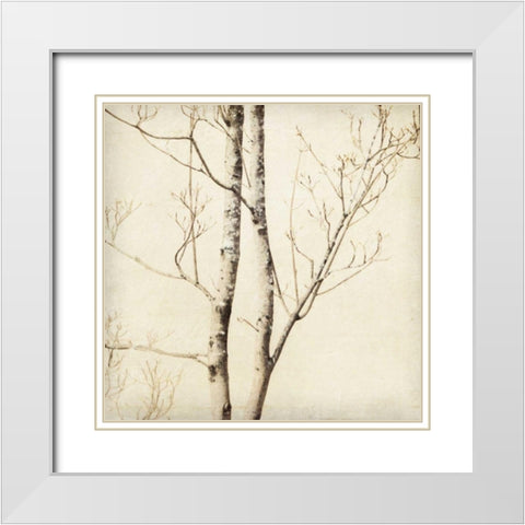 Winter Trees II White Modern Wood Framed Art Print with Double Matting by Melious, Amy