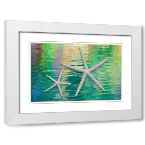 Starfish on Water II White Modern Wood Framed Art Print with Double Matting by Mahan, Kathy
