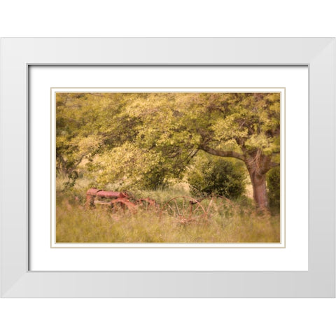 Old Tractor I White Modern Wood Framed Art Print with Double Matting by Mahan, Kathy