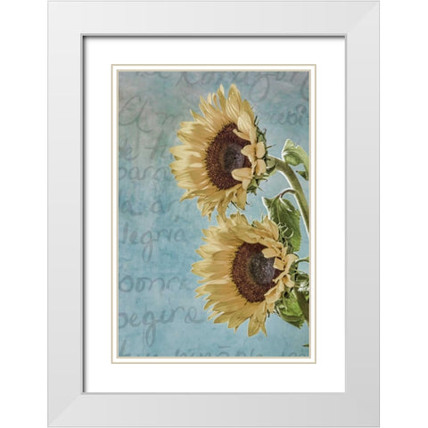 Sunflowers II White Modern Wood Framed Art Print with Double Matting by Mahan, Kathy