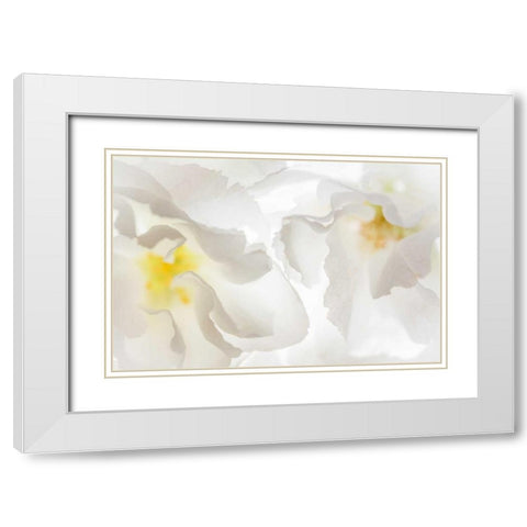 Cherry Blossoms II White Modern Wood Framed Art Print with Double Matting by Mahan, Kathy