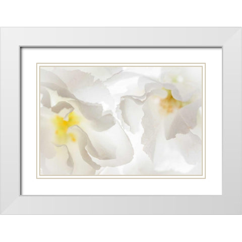 Cherry Blossoms II White Modern Wood Framed Art Print with Double Matting by Mahan, Kathy