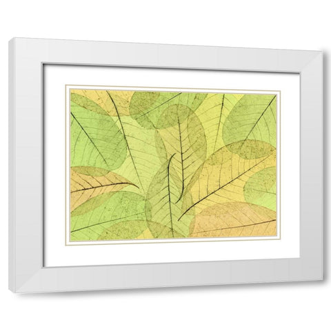 Leaf Collage I White Modern Wood Framed Art Print with Double Matting by Mahan, Kathy