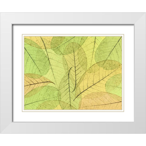Leaf Collage I White Modern Wood Framed Art Print with Double Matting by Mahan, Kathy