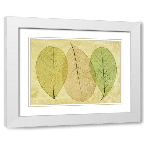 Leaf Collage II White Modern Wood Framed Art Print with Double Matting by Mahan, Kathy