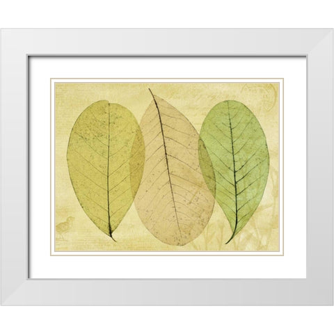 Leaf Collage II White Modern Wood Framed Art Print with Double Matting by Mahan, Kathy