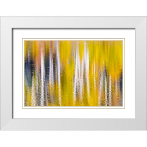 Reflections of Fall I White Modern Wood Framed Art Print with Double Matting by Mahan, Kathy