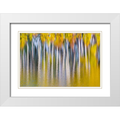 Reflections of Fall II White Modern Wood Framed Art Print with Double Matting by Mahan, Kathy