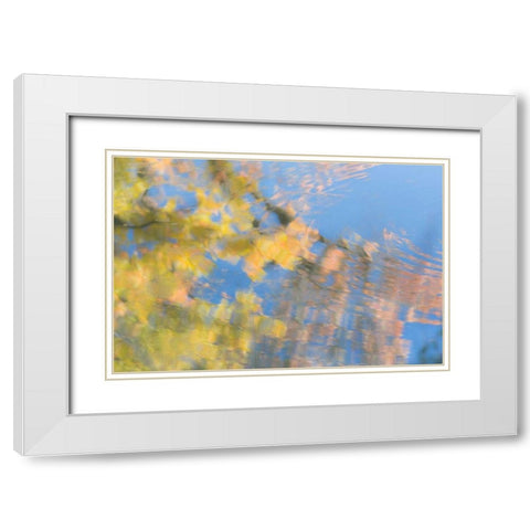 Tree Reflections II White Modern Wood Framed Art Print with Double Matting by Mahan, Kathy