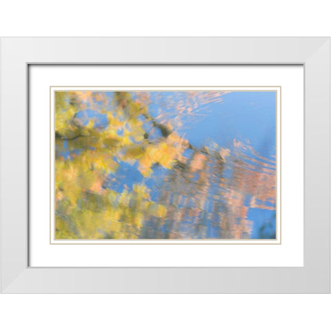 Tree Reflections II White Modern Wood Framed Art Print with Double Matting by Mahan, Kathy