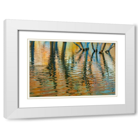 Lake Powell Reflections I White Modern Wood Framed Art Print with Double Matting by Mahan, Kathy