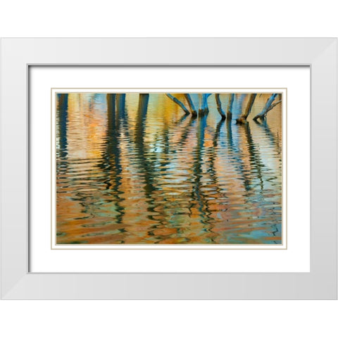 Lake Powell Reflections I White Modern Wood Framed Art Print with Double Matting by Mahan, Kathy