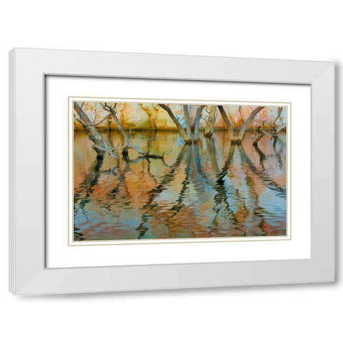 Lake Powell Reflections II White Modern Wood Framed Art Print with Double Matting by Mahan, Kathy