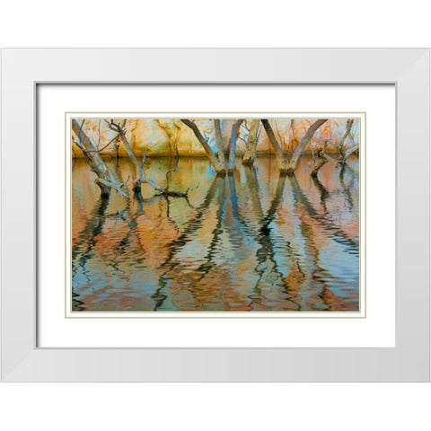 Lake Powell Reflections II White Modern Wood Framed Art Print with Double Matting by Mahan, Kathy