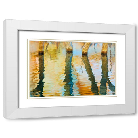 Lake Powell Reflections III White Modern Wood Framed Art Print with Double Matting by Mahan, Kathy
