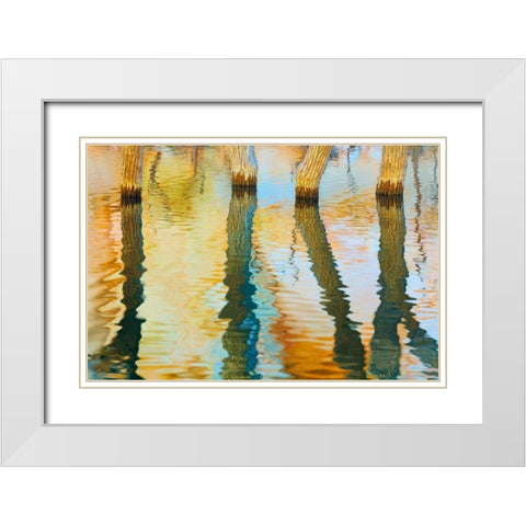 Lake Powell Reflections III White Modern Wood Framed Art Print with Double Matting by Mahan, Kathy