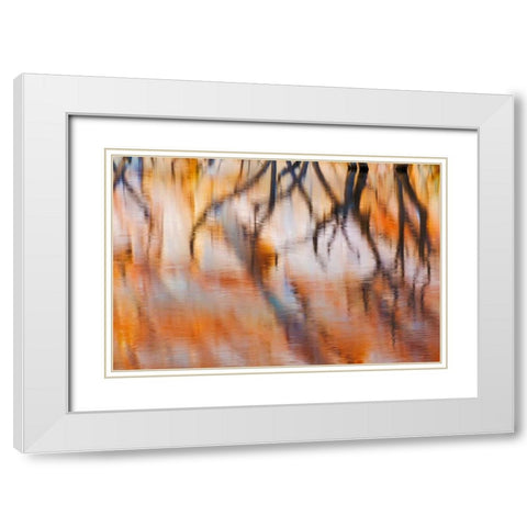 Lake Powell Reflections IV White Modern Wood Framed Art Print with Double Matting by Mahan, Kathy