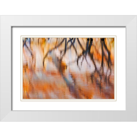 Lake Powell Reflections IV White Modern Wood Framed Art Print with Double Matting by Mahan, Kathy